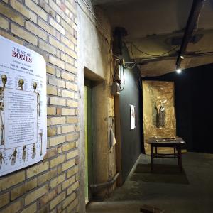 Img 20260820 134303