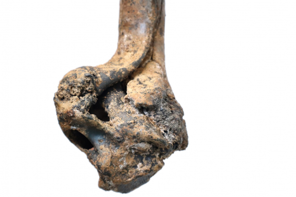 Théotime Ritzenthaler